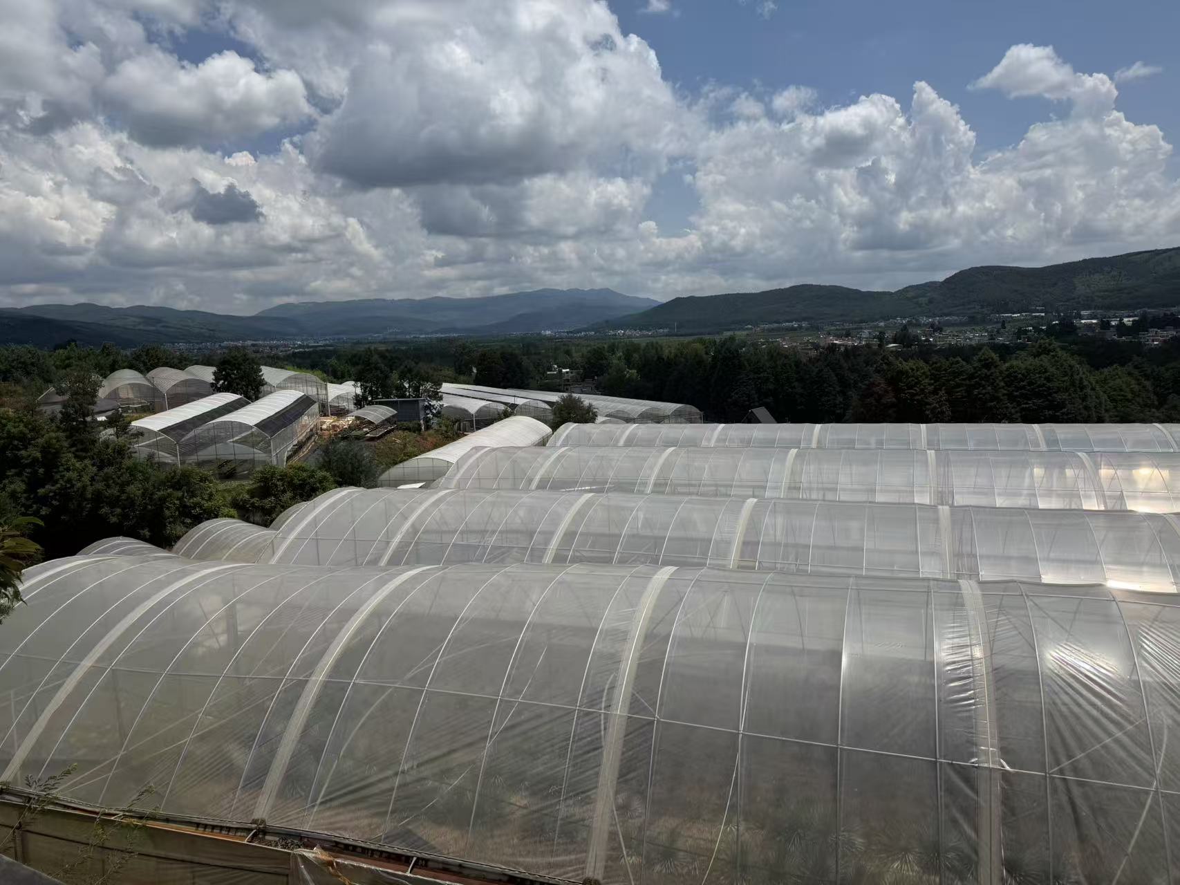 Rows of greenhouses at the 潮龍 Agave nursery in Yunnan, with distant mountains and cloud
